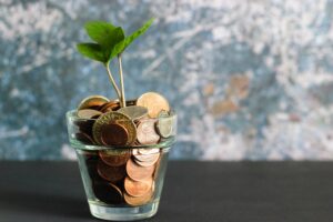 Photo of a plant growing from coins to represent financial growth